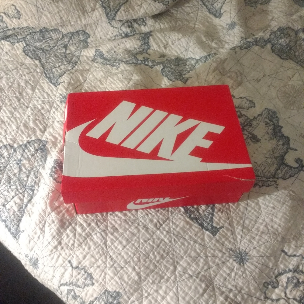 Nike Shoe Box